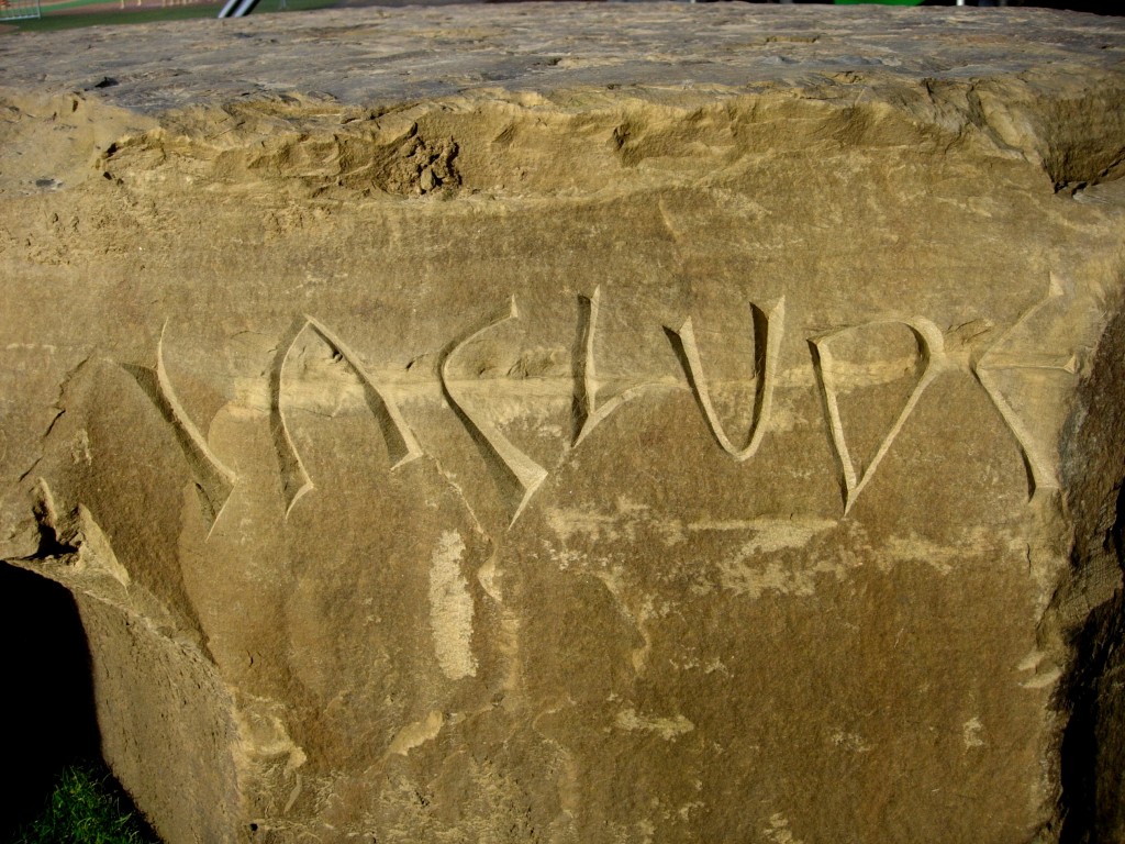 DSCN7190