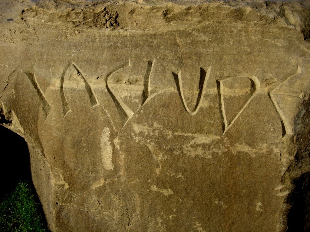 DSCN7193