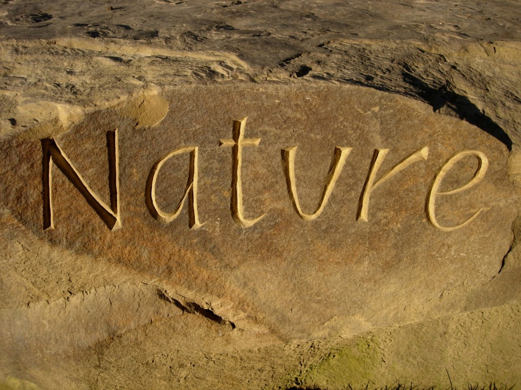 End nature