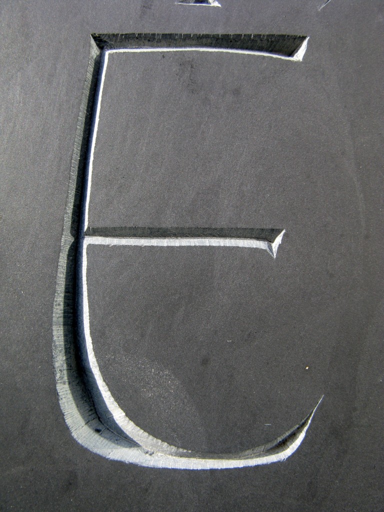 celia elfyn detail01