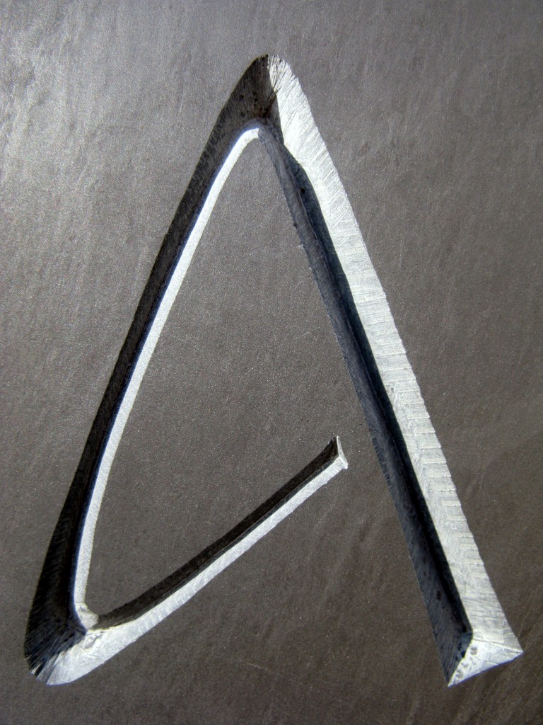 celia elfyn detail02