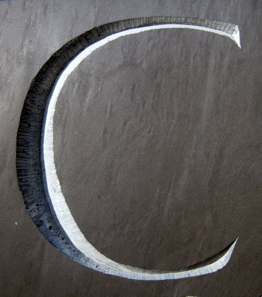 celia elfyn detail04