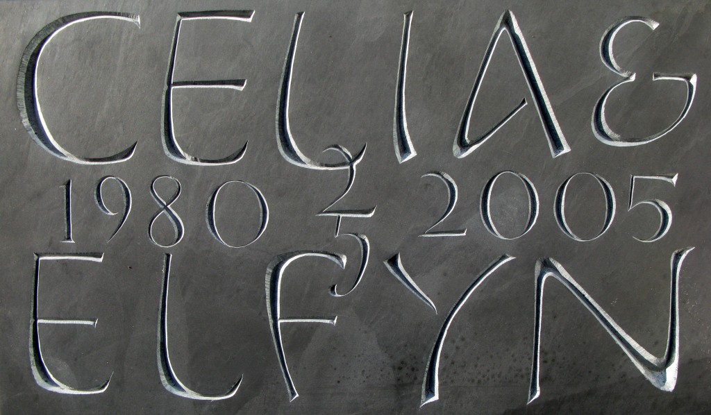 celia elfyn09
