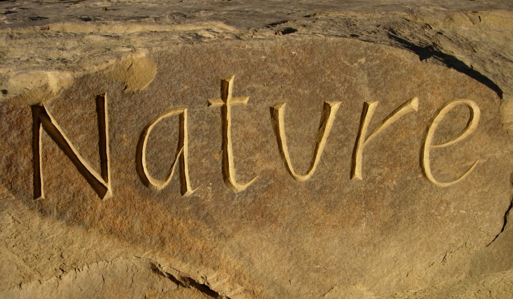 end nature 2