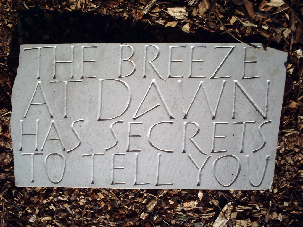 the breeze at dawn